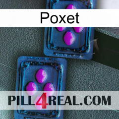 Poxet 03